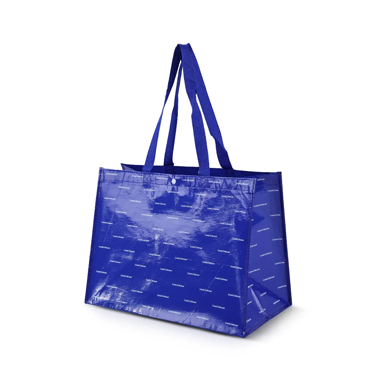 Rpet Bags RP6