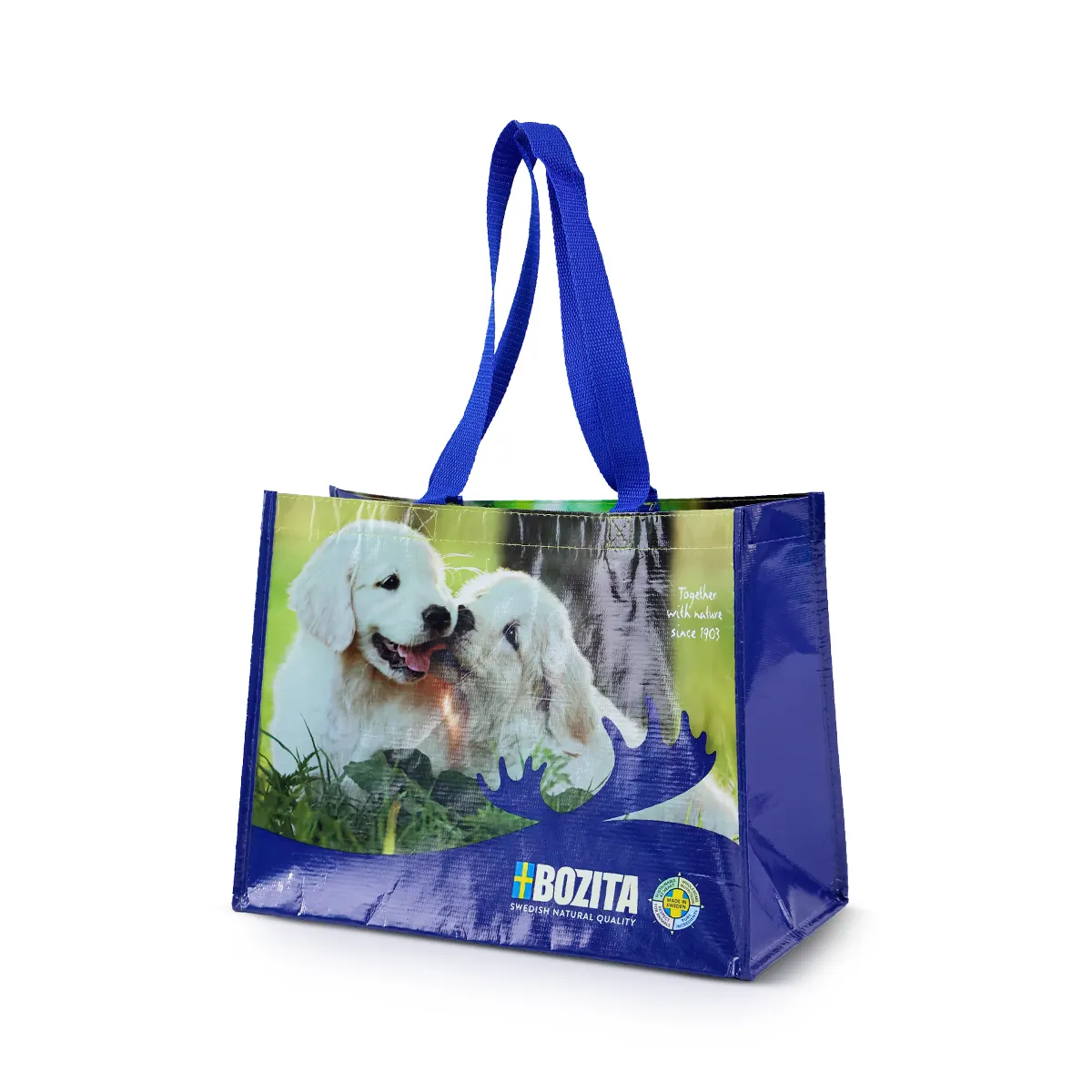 Rpet Bags RP4