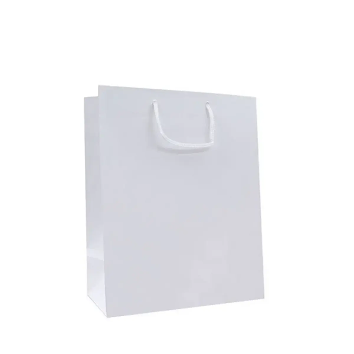 Paper Bags Laminated