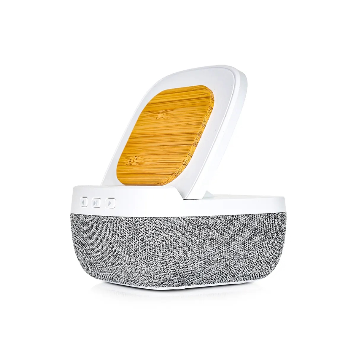 Speaker Wireless Charging