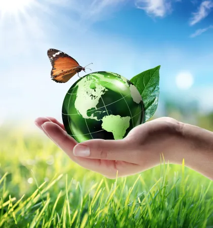 Best Eco-Friendly Bag Manufacturer in Dubai – Green Bags UAE